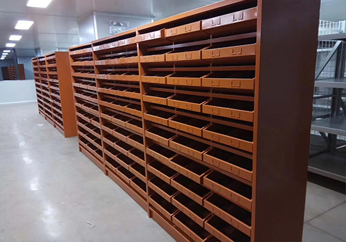 ʮ����ˎ��